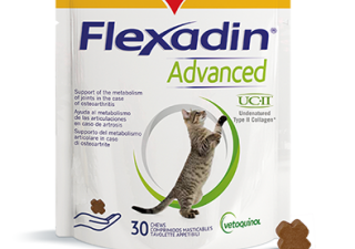 Flexadin Advanced koty