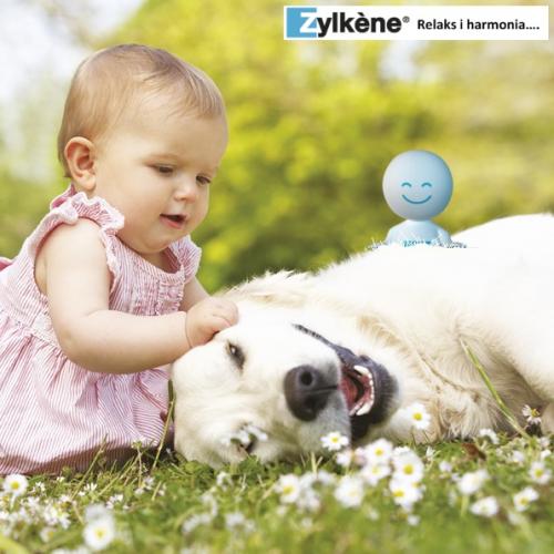 gedrag hond baby Zylkène