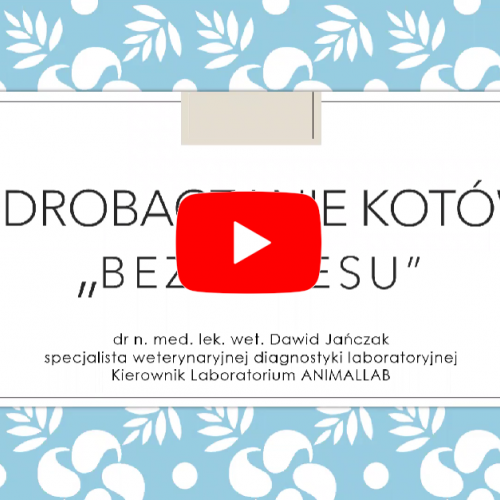 Odrobaczanie Odrobaczanie