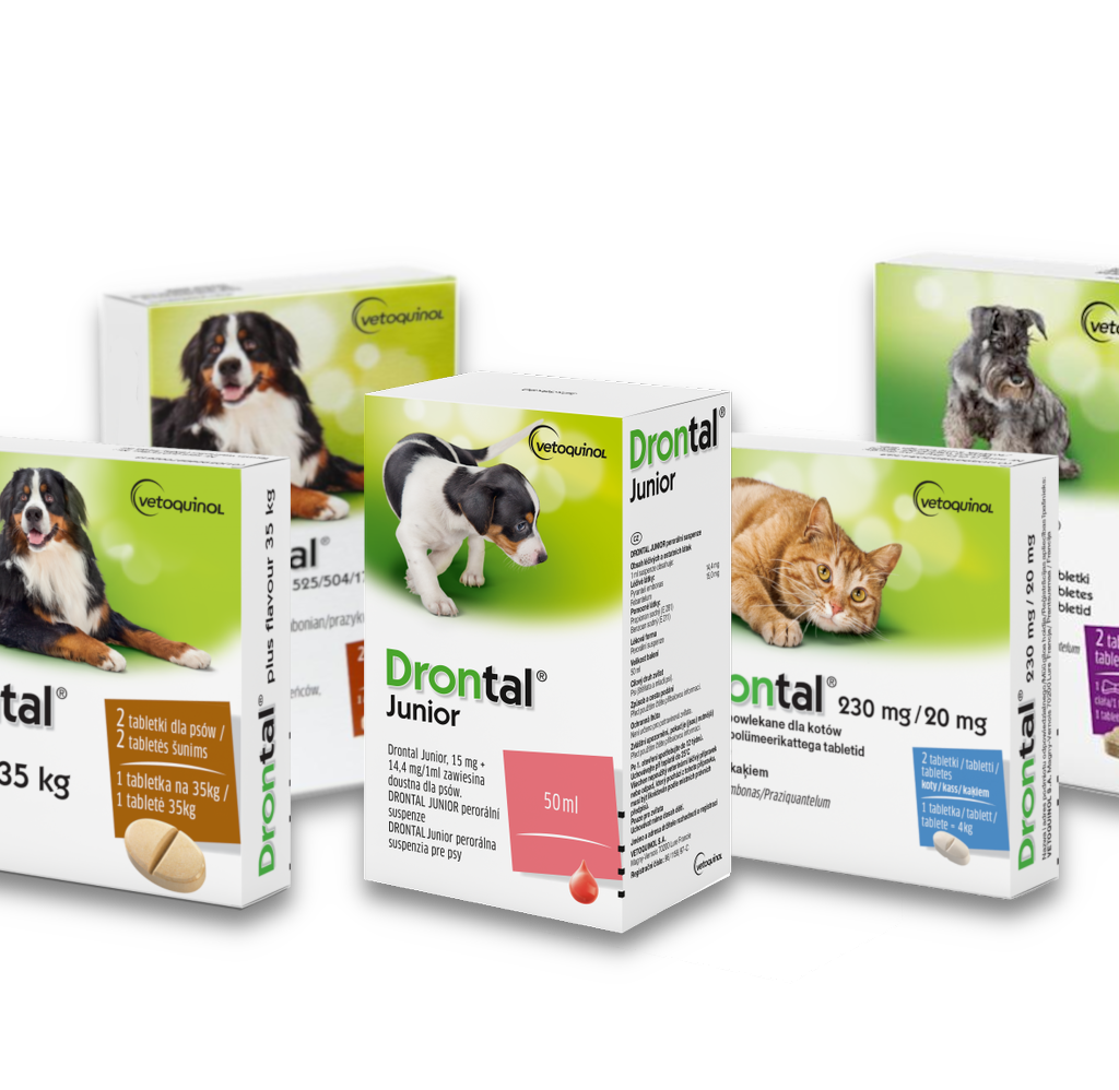 Dontal all