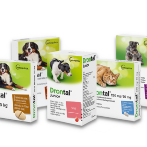 Dontal all