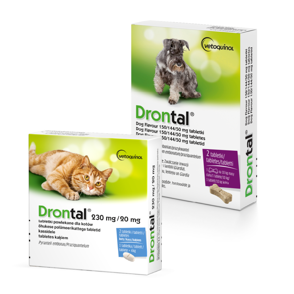 Drontal - tabletki odrobaczające dla psów i kotów