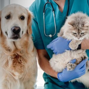 ESCCAP – racjonalne podejście do zwalczania pasożytów wewnętrznych