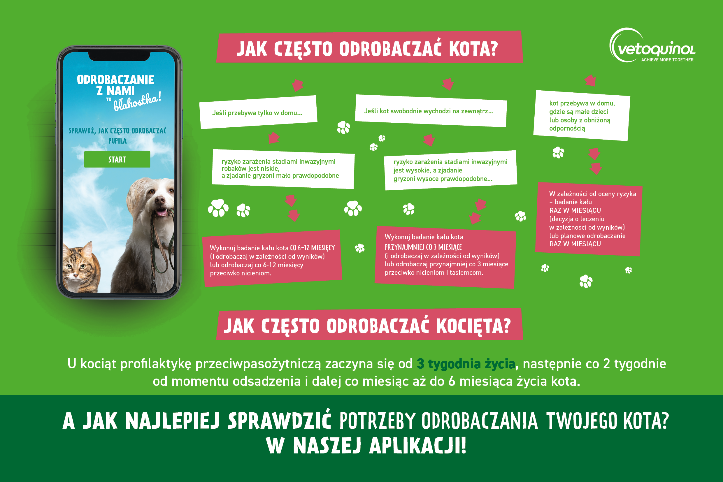 Jak często odrobaczać kota?