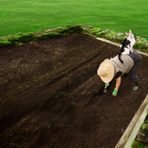 Jak odrobaczać kota