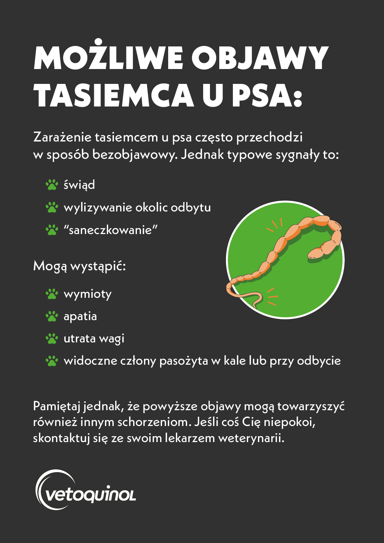 tasiemiec u psa objawy