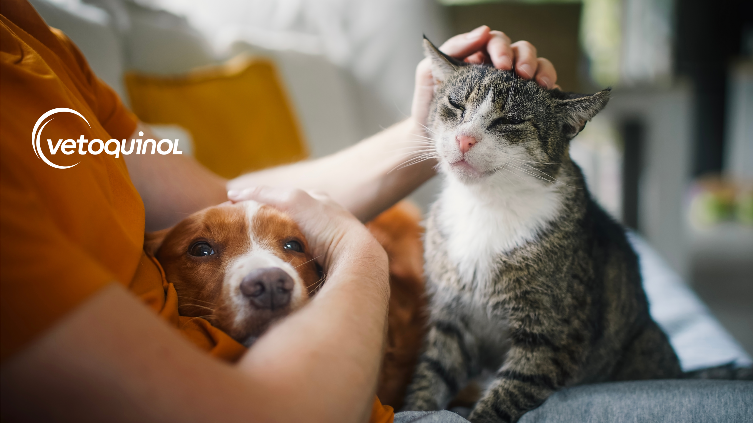 Czy pies lub kot może mnie zarazić robakami?