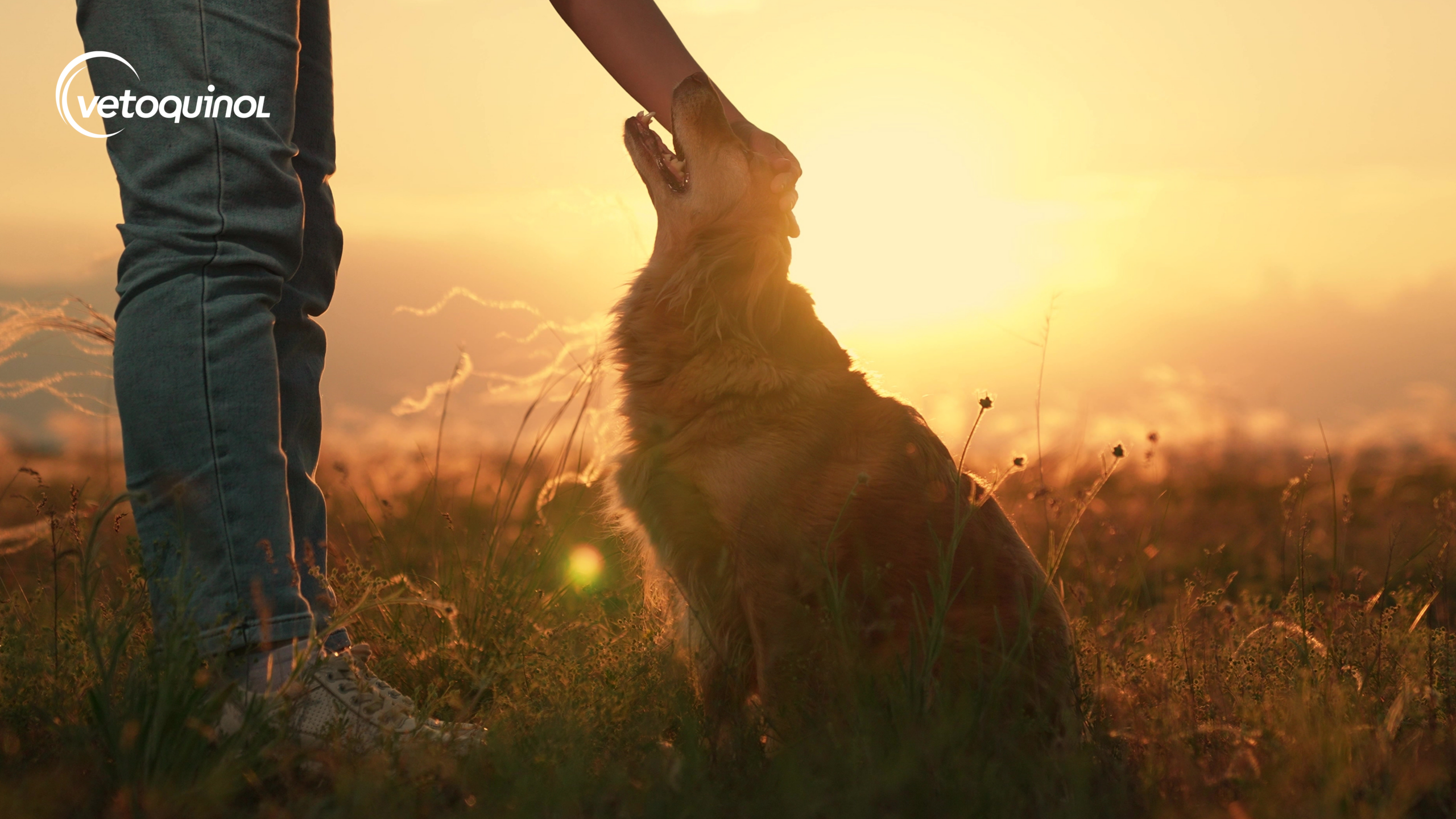 Czym odrobaczać psa