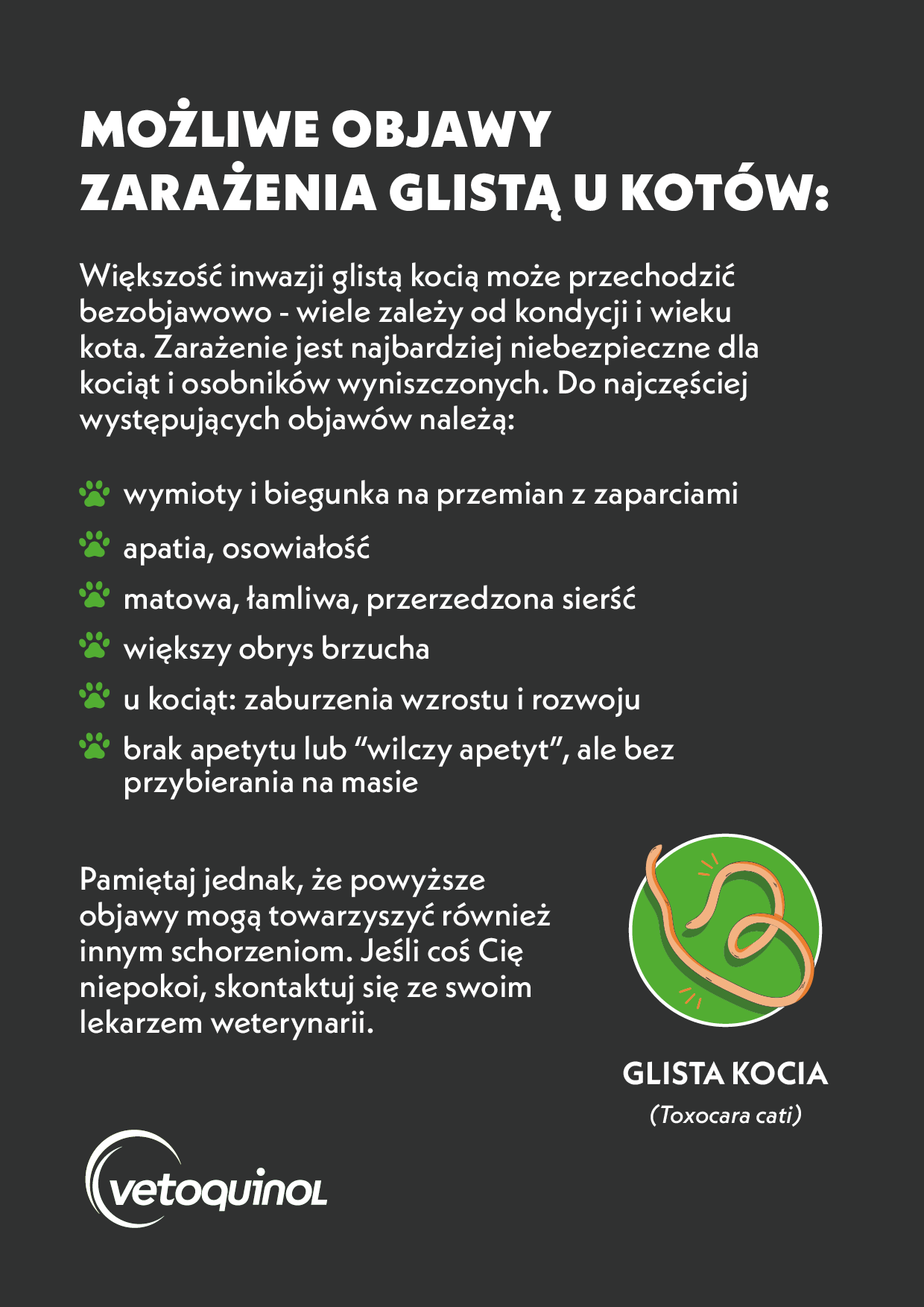 Możliwe objawy zarażenia glistą u kotów - infografika