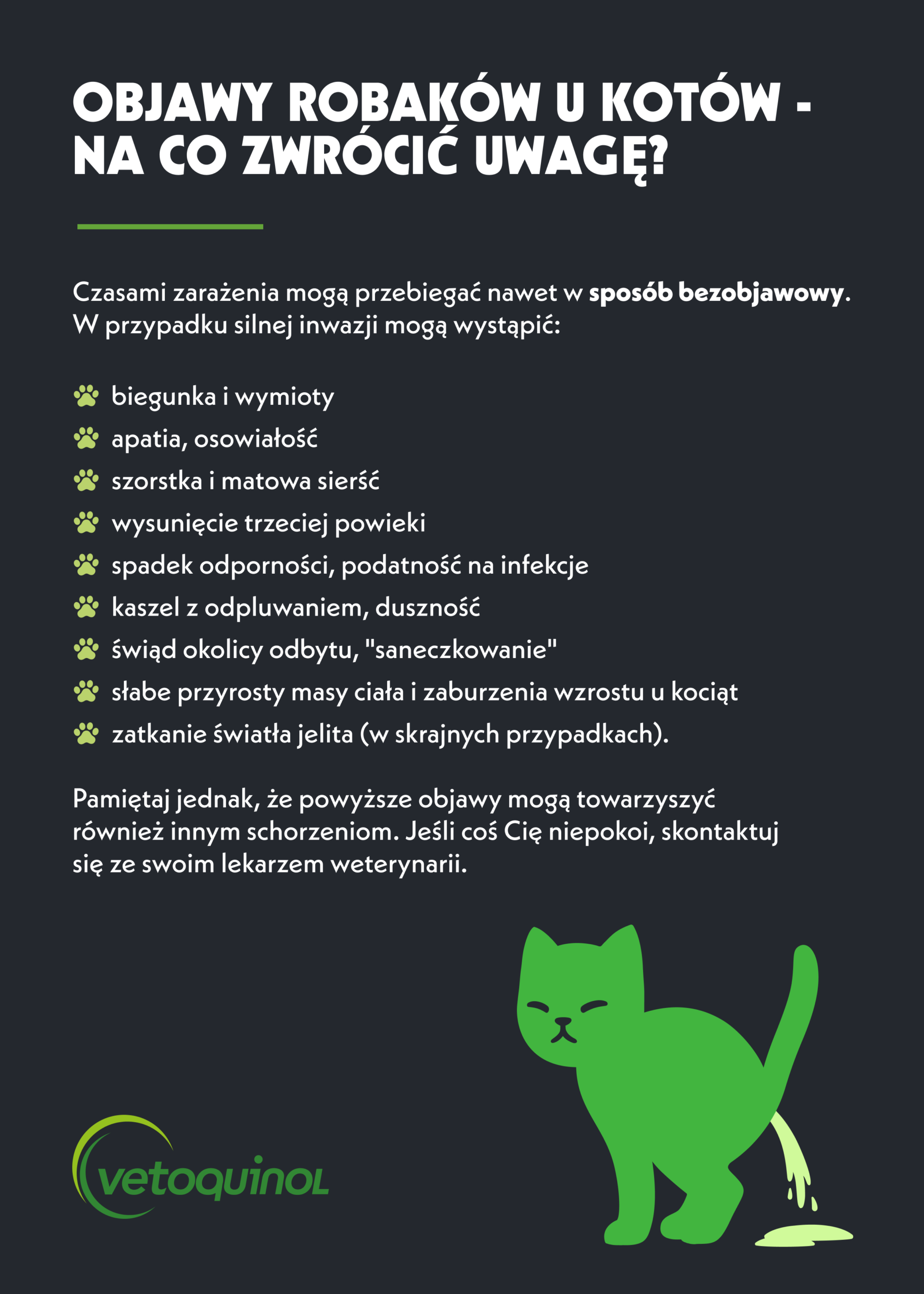 Objawy robaków u kota - infografika