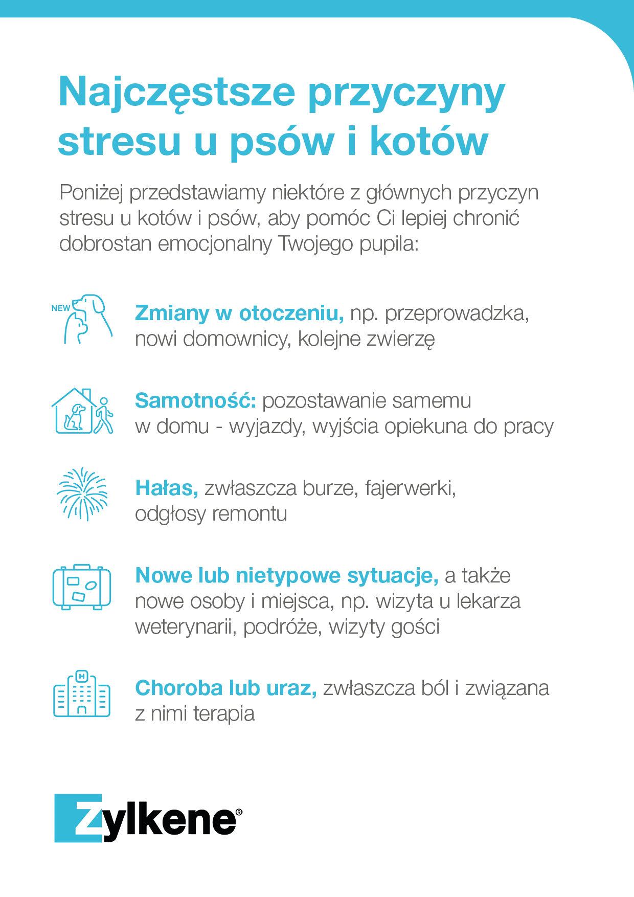 Jakie są najczęstsze przyczyny stresu u psów i kotów?